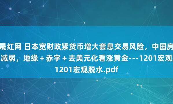 晟红网 日本宽财政紧货币增大套息交易风险，中国房地产拖累减弱，地缘＋赤字＋去美元化看涨黄金---1201宏观脱水.pdf