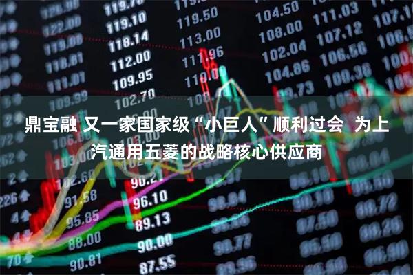 鼎宝融 又一家国家级“小巨人”顺利过会  为上汽通用五菱的战略核心供应商